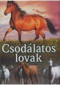 Konyhás István - A csodálatos lovak