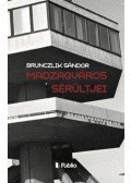 Brunczlik Sándor - Madzagváros sérültjei