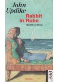 John Updike - Rabbit in Ruhe