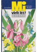 Golte-Bechtle, M.,Aichele, D. - Mi virít itt?