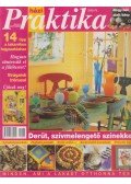 Csiki Judit - Házi Praktika 2001/9. szeptember