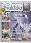 Csiki Judit - Házi Praktika 2000/2. február
