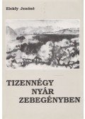 Elekfy Jenőné - Tizennégy nyár Zebegényben