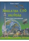 Falcsik Mária - Ámulatba ejtő valóság