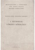 Kalmár János,Szalontai Barnabás - A Báthoriak címeres kőemlékei
