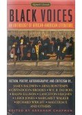  - Black Voices