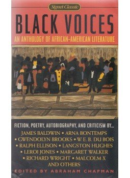 - Black Voices, New York 2001 antikvár könyv