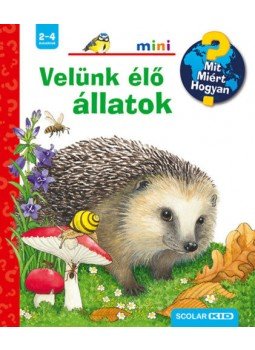 Patricia Mennen - Velünk élő állatok - Mit? Miért? Hogyan? Patricia Mennen - Velünk élő állatok - Mit? Miért? Hogyan?, null 2021 antikvár könyv