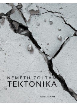 Németh Zoltán - Tektonika Németh Zoltán - Tektonika, null 2021 antikvár könyv