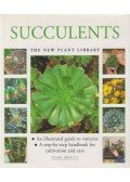 Terry Hewitt - Succulents