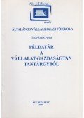 Tóth-Szabó Anna - Példatár a vállalat-gazdaságtan tantárgyból