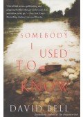David Bell - Somebody I Used to Know