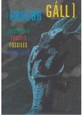 Gregor Gáll - Fosszíliák