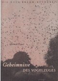 Dr. Gerhard Creutz - Geheimnisse des Vogelzuges