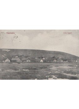  - Tápiósüly, Liba legelő (képeslap),  0 antikvár könyv