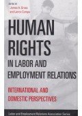 Lance Compa,James A. Gross - Human Rights in Labor and Employment Relations International and Domestic Perspectives