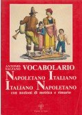 Antonio Salzano - Vocabolario Napoletano - Italiano, Italiano - Napoletano