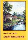 Matula Gy. Oszkár - Lazítás két kapás közt