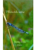 Jánky Béla - Pillanatok színe