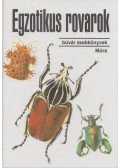 Vásárhelyi Tamás - Egzotikus rovarok