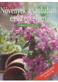 - Növények a szobában és az erkélyen