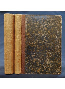 Lakatos Ottó - Arad története. I–III. kötet [Teljes mű, két kötetbe kötve], Arad 1881 antikvár könyv