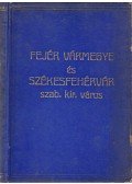 F. Szabó Géza,Gyulay Sándor,Rexa Dezső,Szathmáry István - Fejér vármegye és Székesfehérvár szabad királyi város általános ismertetője I–II. kötet (Egybekötve)
