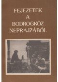 Viga Gyula - Fejezetek a Bodrogköz néprajzából