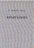 S. Benedek András - Készülődés