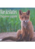 Gaál Péter - Varázslatos Magyarországunk