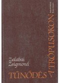 Zalabai Zsigmond - Tűnődés a trópusokon
