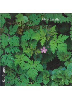 SCHAFFER, ULRICH - ...weil du einmalig bist SCHAFFER, ULRICH - ...weil du einmalig bist, Lahr 2003 antikvár könyv