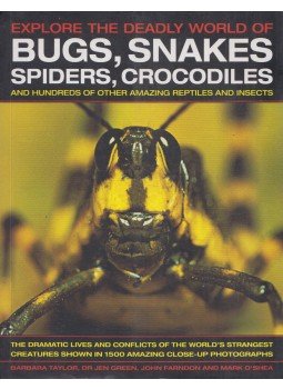 Barbara Taylor, Dr. Jen Green, John Farndon, Mark O'Shea - Bugs, Snakes, Spiders, Crocodiles Barbara Taylor, Dr. Jen Green, John Farndon, Mark O'Shea - Bugs, Snakes, Spiders, Crocodiles, London 2008 antikvár könyv