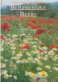 Sváb Judit,Németh Éva - Heilpflanzen Herbs