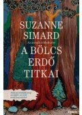 Suzanne Simard - A bölcs erdő titkai - Az anyafa felfedezése