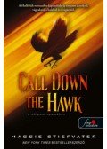 Maggie Stiefvater - Call Down the Hawk - A sólyom nyomában - Álmodók-trilógia 1.
