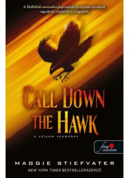 Maggie Stiefvater - Call Down the Hawk - A sólyom nyomában - Álmodók-trilógia 1. Maggie Stiefvater - Call Down the Hawk - A sólyom nyomában - Álmodók-trilógia 1., null 2021 antikvár könyv