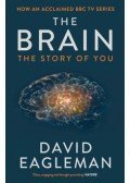 David Eagleman - The Brain