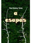 Tálas,Tamássy Tamás - A csapás