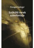 Pozsgai Györgyi - Szűkülő terek szimfóniája