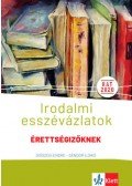 Diószegi Endre, Sándor Ildikó - Irodalmi esszévázlatok érettségizőknek - Közép- és emelt szinten