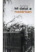 Acsai Roland - Mi dalol a madárban