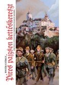 Pintér György - Piros pajzson kettős kereszt - Történet a nyugat-magyarországi felkelés idejéből