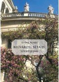 Szőke Ágnes - Belvárosi Séta IV. - Szentjeink