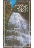 Antony De Mello - Forrás fakad