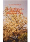Staehelin, Balthasar - Lelki gyógyulás a keresztény megújulás útján