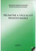 Fazakas Gergely - Példatár a vállalati pénzügyekhez