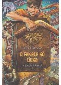 Vidra Gabriella - A fekete kő titka