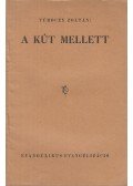 Túróczy Zoltán - A kút mellett
