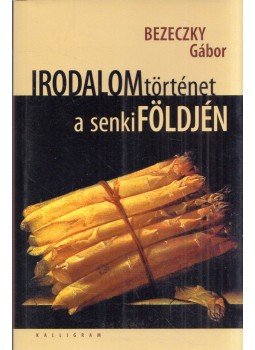 Bezeczky Gábor - Irodalomtörténet a senkiföldjén Bezeczky Gábor - Irodalomtörténet a senkiföldjén, Pozsony 2008 antikvár könyv